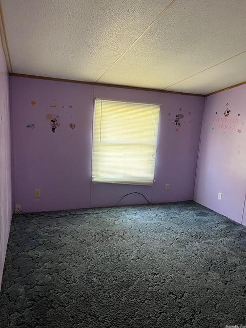 22 Belle Dr, Guy, AR 72061 photo 9