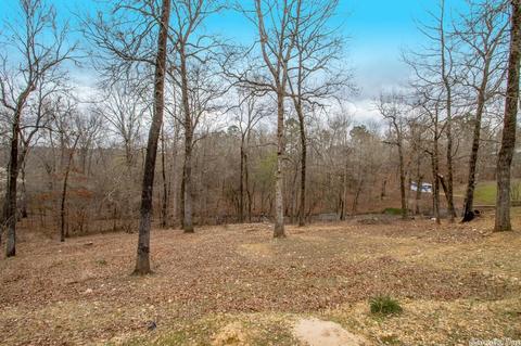 820 Raney Rd, Benton, AR 72019 photo 48