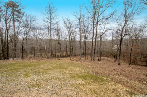820 Raney Rd, Benton, AR 72019 photo 47