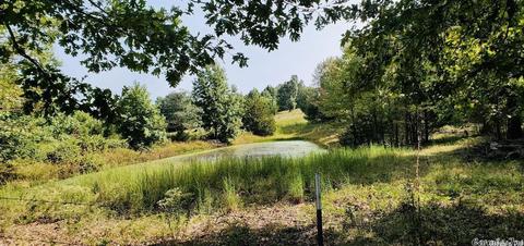 1776 Pitcher Hill Rd, Mountain View, AR 72560 photo 32