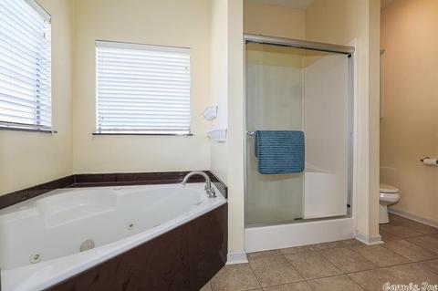 3602 Wildrose Ct, Benton, AR 72015 photo 38