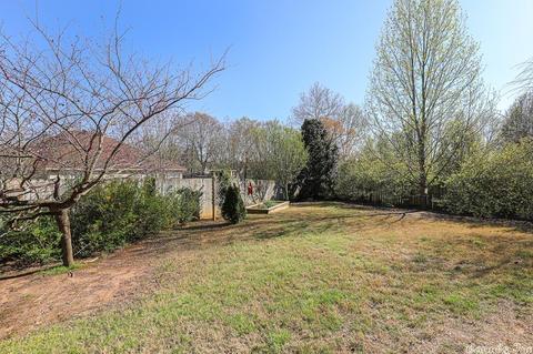 3602 Wildrose Ct, Benton, AR 72015 photo 41
