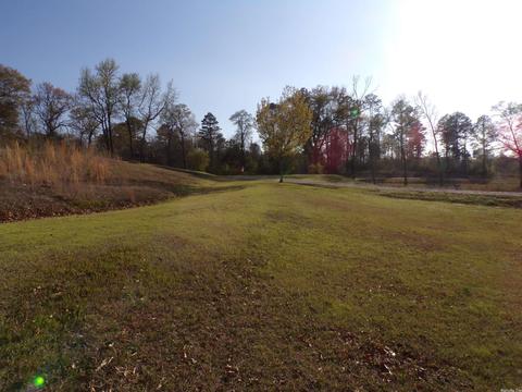 13182 Highway 8, Amity, AR 71921 photo 33