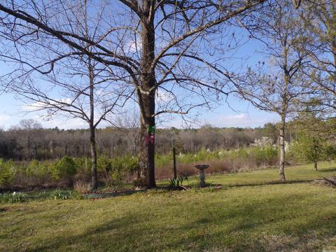 13182 Highway 8, Amity, AR 71921 photo 23