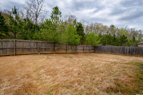 3974 Eastern Slope, Alexander, AR 72002 photo 42