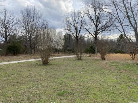 282 Golden Star Rd, Ash Flat, AR 72513 photo 17