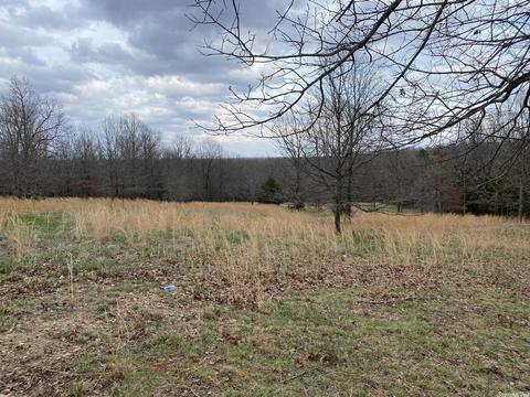 282 Golden Star Rd, Ash Flat, AR 72513 photo 14