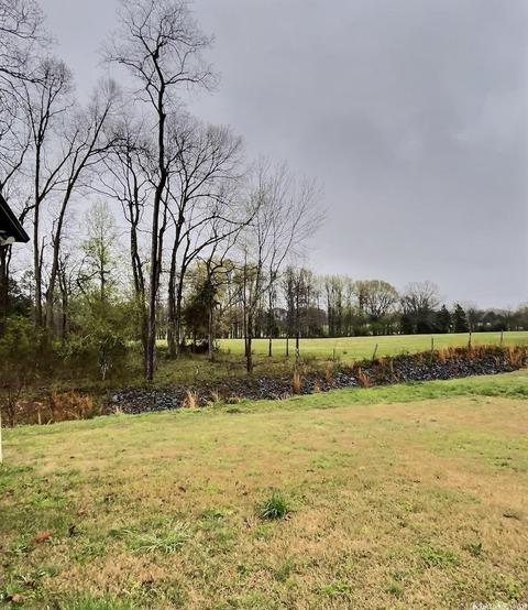 24 Javan Dr, Greenbrier, AR 72058 photo 32