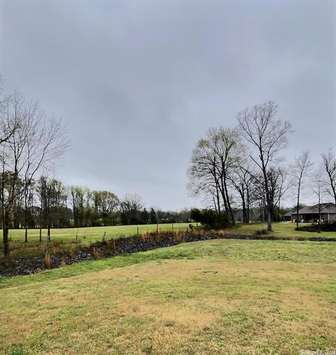 24 Javan Dr, Greenbrier, AR 72058 photo 31