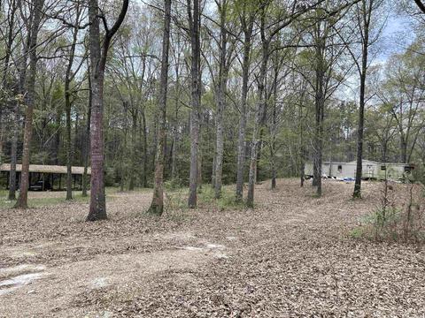 4125 Kentner Ln, Benton, AR 72015 photo 3