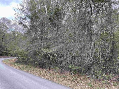 4125 Kentner Ln, Benton, AR 72015 photo 6