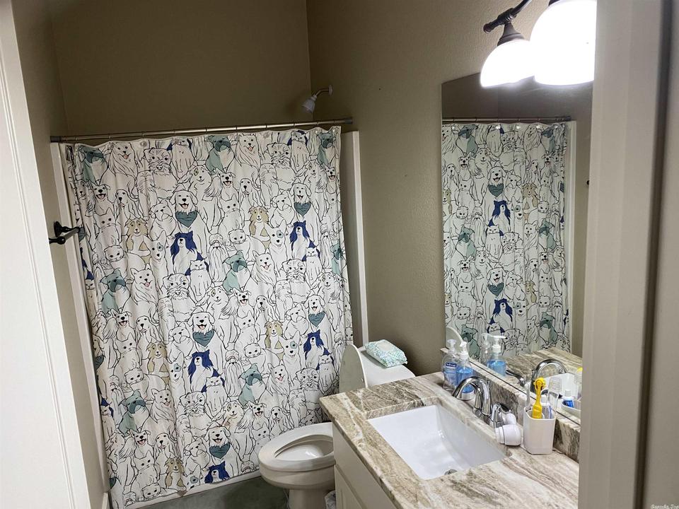  10 Cobalt Cv, Greenbrier, AR 72058 photo 29