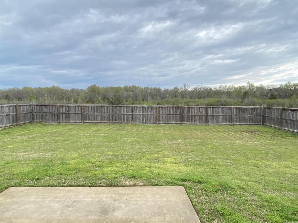  10 Cobalt Cv, Greenbrier, AR 72058 photo 36
