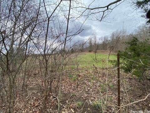 16419 W Hwy 66, Mountain View, AR 72560 photo 22