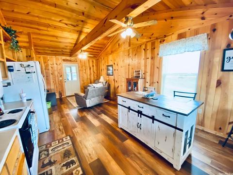 16419 W Hwy 66, Mountain View, AR 72560 photo 4