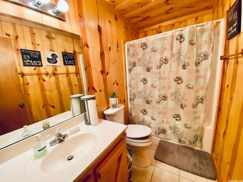 16419 W Hwy 66, Mountain View, AR 72560 photo 8