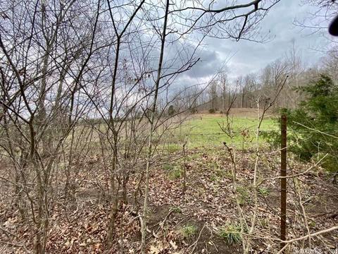 16419 W Hwy 66, Mountain View, AR 72560 photo 21