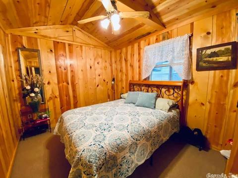 16419 W Hwy 66, Mountain View, AR 72560 photo 9