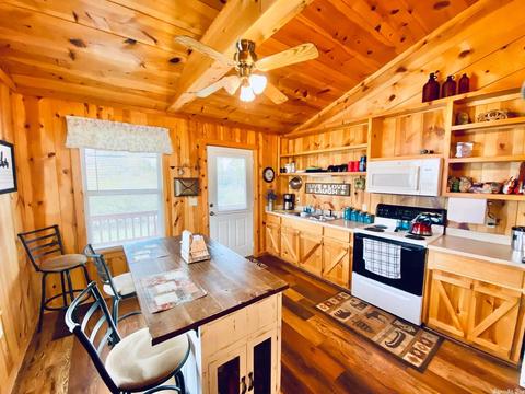 16419 W Hwy 66, Mountain View, AR 72560 photo 3