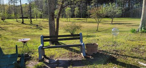 25113 Long Dr, Mabelvale, AR 72103 photo 14