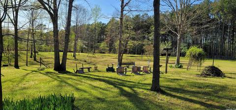 25113 Long Dr, Mabelvale, AR 72103 photo 15