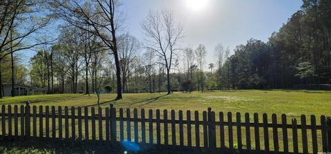 25113 Long Dr, Mabelvale, AR 72103 photo 45