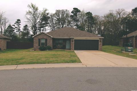 3032 Sage Grass Ln, Alexander, AR 72002 photo 4