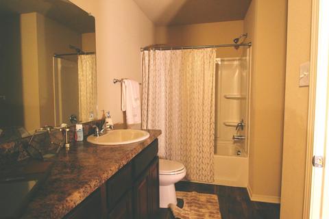 3032 Sage Grass Ln, Alexander, AR 72002 photo 13