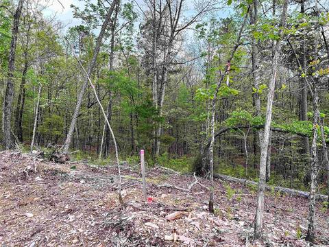 625 Lucy, Alexander, AR 72002 photo 27