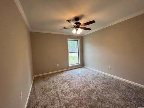 625 Lucy, Alexander, AR 72002 photo 18