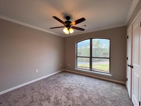 625 Lucy, Alexander, AR 72002 photo 23