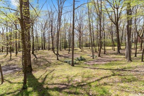 5538 Ridgeway Dr, Benton, AR 72019 photo 49