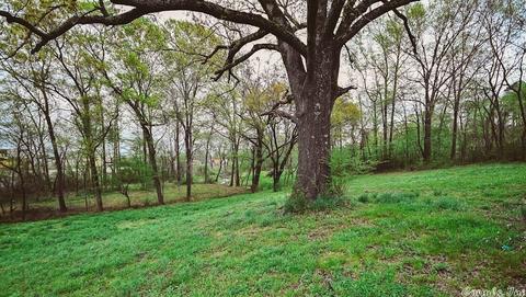 138 Polk 29, Hatfield, AR 71945 photo 8