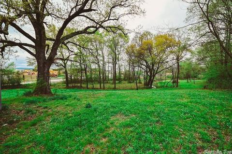 138 Polk 29, Hatfield, AR 71945 photo 7