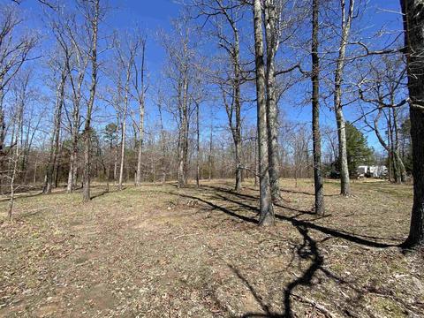 141 Dickens Ln, Mountain View, AR 72560 photo 13