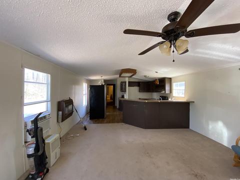 141 Dickens Ln, Mountain View, AR 72560 photo 5