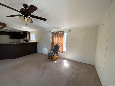 141 Dickens Ln, Mountain View, AR 72560 photo 4