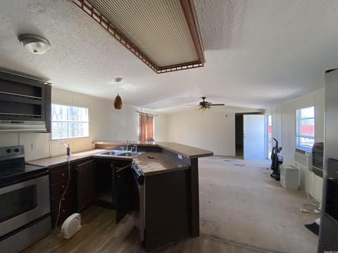 141 Dickens Ln, Mountain View, AR 72560 photo 2