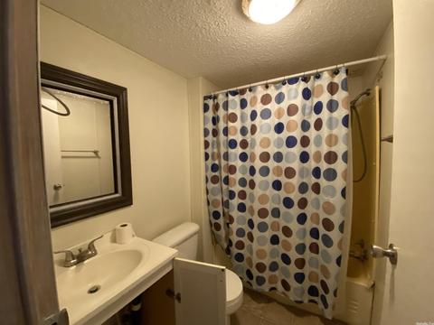 141 Dickens Ln, Mountain View, AR 72560 photo 7
