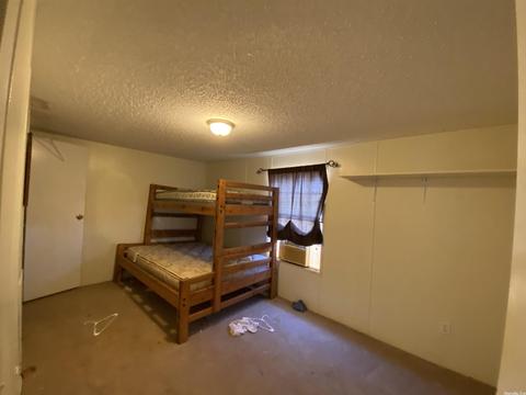 141 Dickens Ln, Mountain View, AR 72560 photo 8