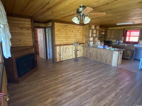 2246 Iron Mountain Rd, Mountain View, AR 72560 photo 5