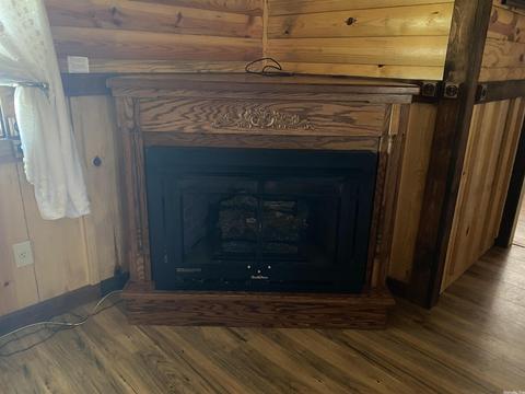 2246 Iron Mountain Rd, Mountain View, AR 72560 photo 7