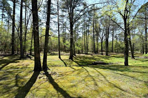 110 Penny Ln, Mena, AR 71953 photo 50