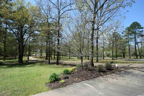 110 Penny Ln, Mena, AR 71953 photo 5