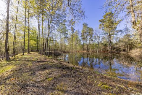 5900 Bauxite Cutoff Rd, Bauxite, AR 72011 photo 38