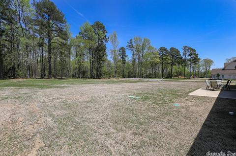 4096 Vineyard Way, Alexander, AR 72002 photo 50