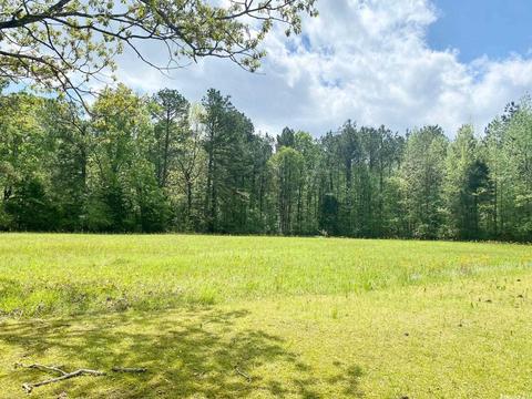 169 Elder Rd, Gurdon, AR 71743 photo 15
