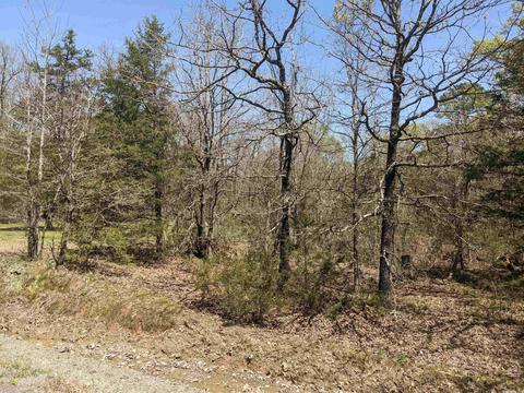 116 Breezewood Rd, Bigelow, AR 72016 photo 5