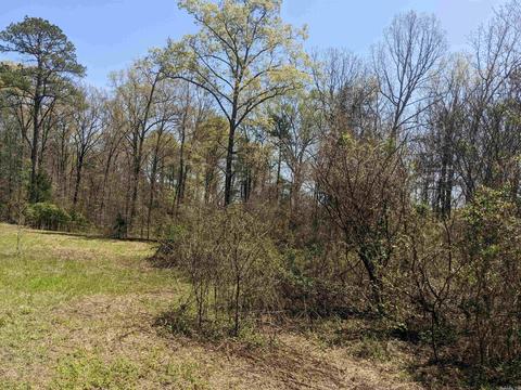 116 Breezewood Rd, Bigelow, AR 72016 photo 4