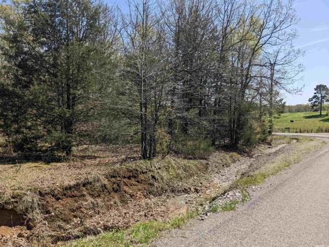 116 Breezewood Rd, Bigelow, AR 72016 photo 2